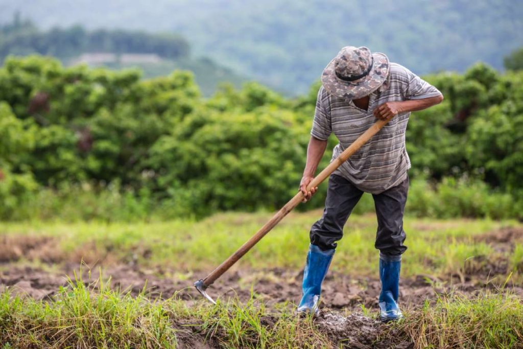 Beneficios fiscales de sociedades de produccion rural