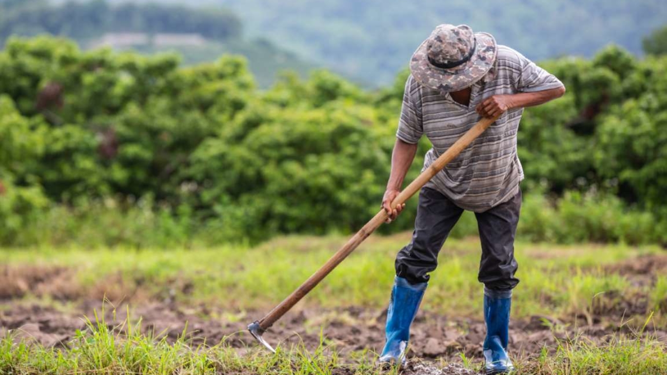 Beneficios fiscales de sociedades de produccion rural